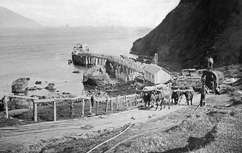 histportbay242