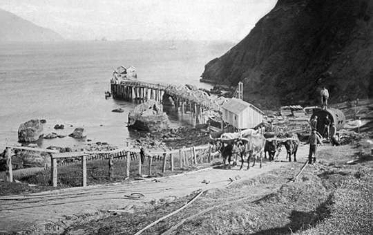 histportbay540