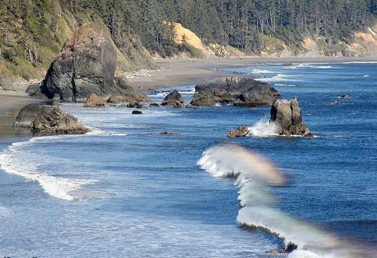 oceanbaysurf
